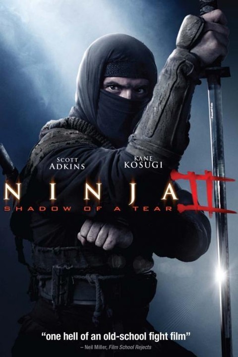 ninja shadow of a tear película completa en español latino