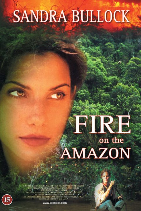 Fire on the Amazon