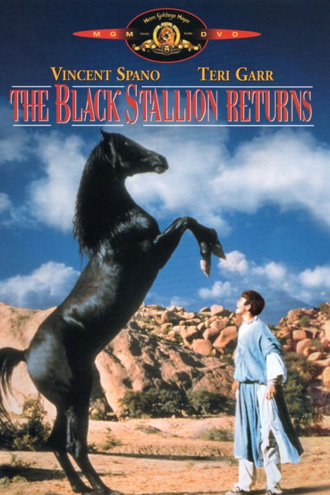 The Black Stallion Returns